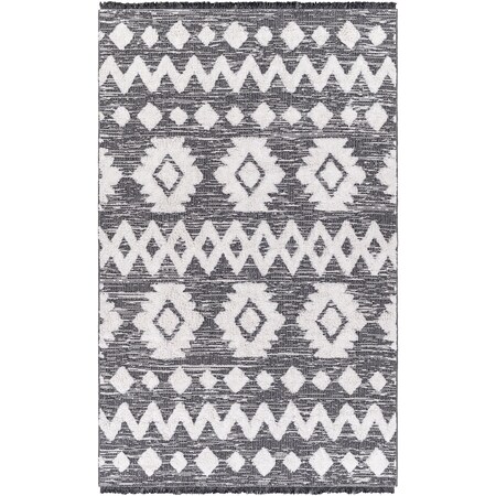 Livabliss Morocotton MCT-2307 Area Rug , With Fringe MCT2307-649